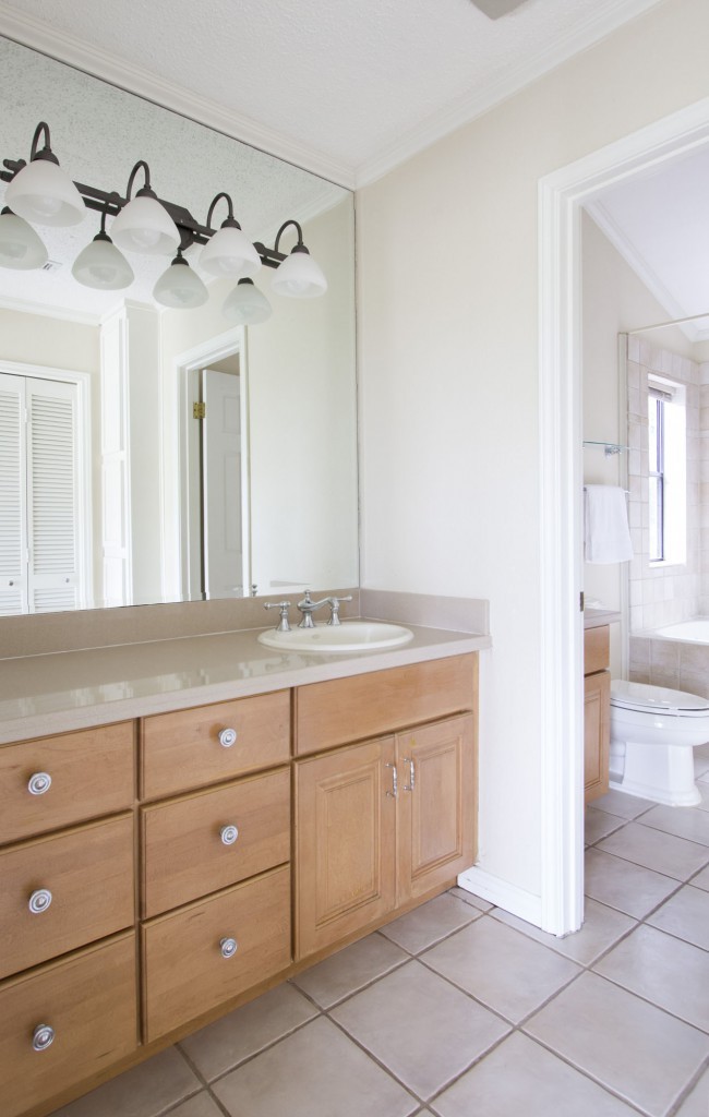 2606 Slow Turtle Cove, Austin Westlake, Master Bathroom