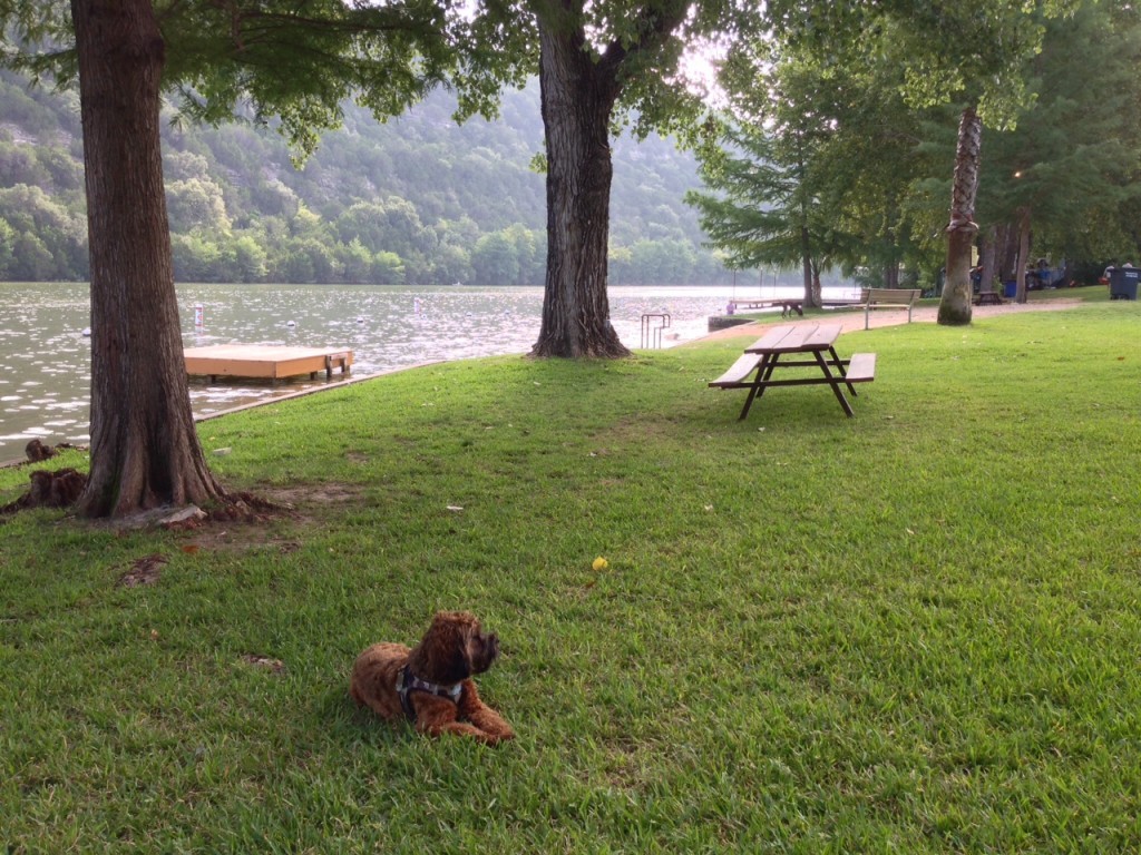 Park On Lake With Puppy. Austin Lake Hills Park in Eanes ISD - Westlake area.