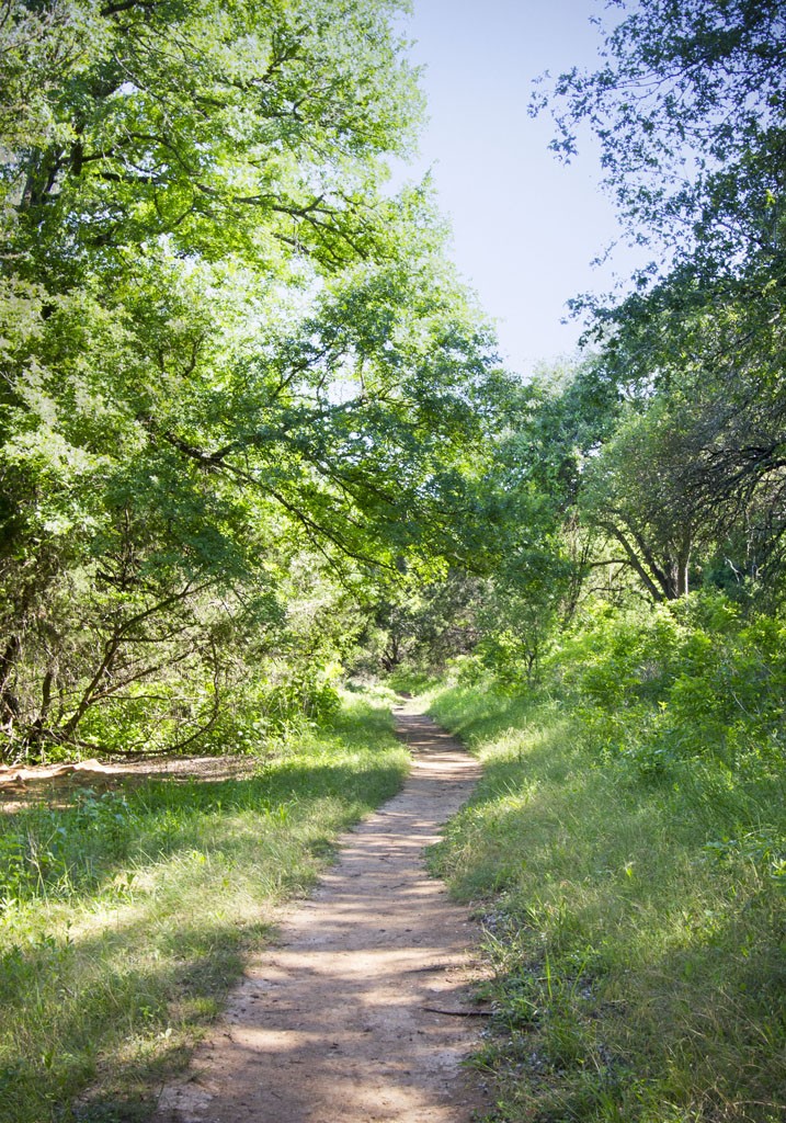 Green path leads through nature in greenbelt - perfect for hiking, biking, or running.