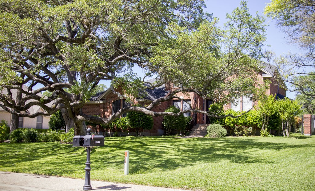 Senna Hills neighborhood home nestled in Oaks trees.